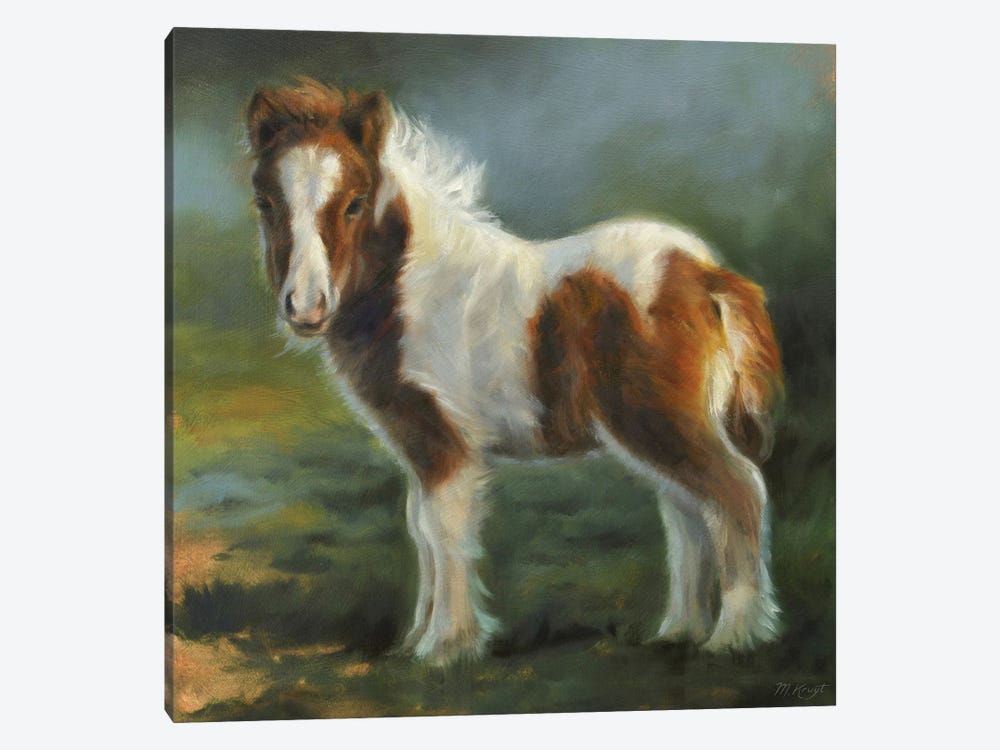 Miniature Shetland Pony Foal by Marjolein Kruijt 1-piece Canvas Art