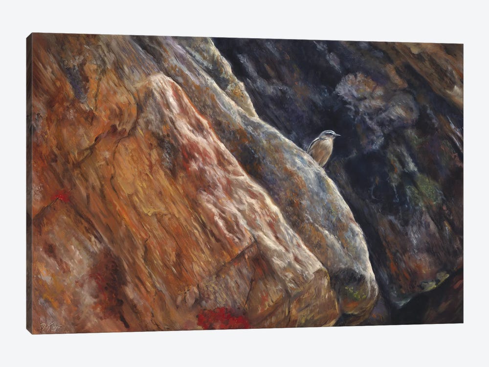 On The Lookout - Northern Wheatear Bird by Marjolein Kruijt 1-piece Canvas Art Print