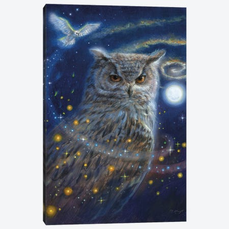 Mystical Owl Canvas Print #MKJ56} by Marjolein Kruijt Art Print