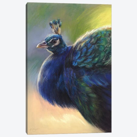 Peacock Canvas Print #MKJ59} by Marjolein Kruijt Canvas Art
