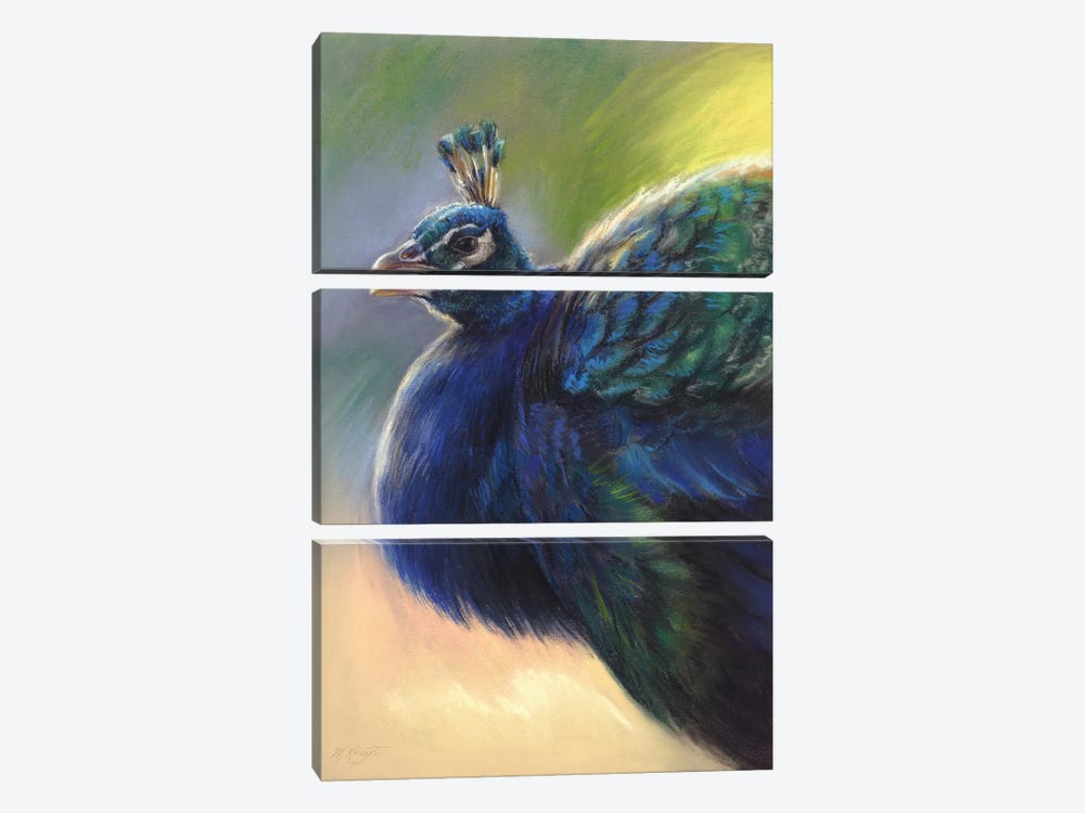 Peacock by Marjolein Kruijt 3-piece Canvas Art