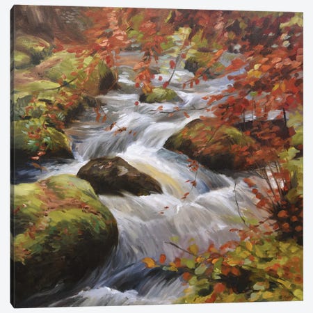 Becky Falls-Autumn Waterfall Canvas Print #MKJ5} by Marjolein Kruijt Canvas Wall Art