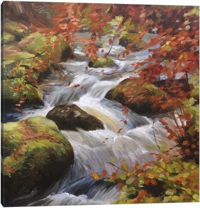 Becky Falls-Autumn Waterfall Canvas Art Print - Marjolein Kruijt