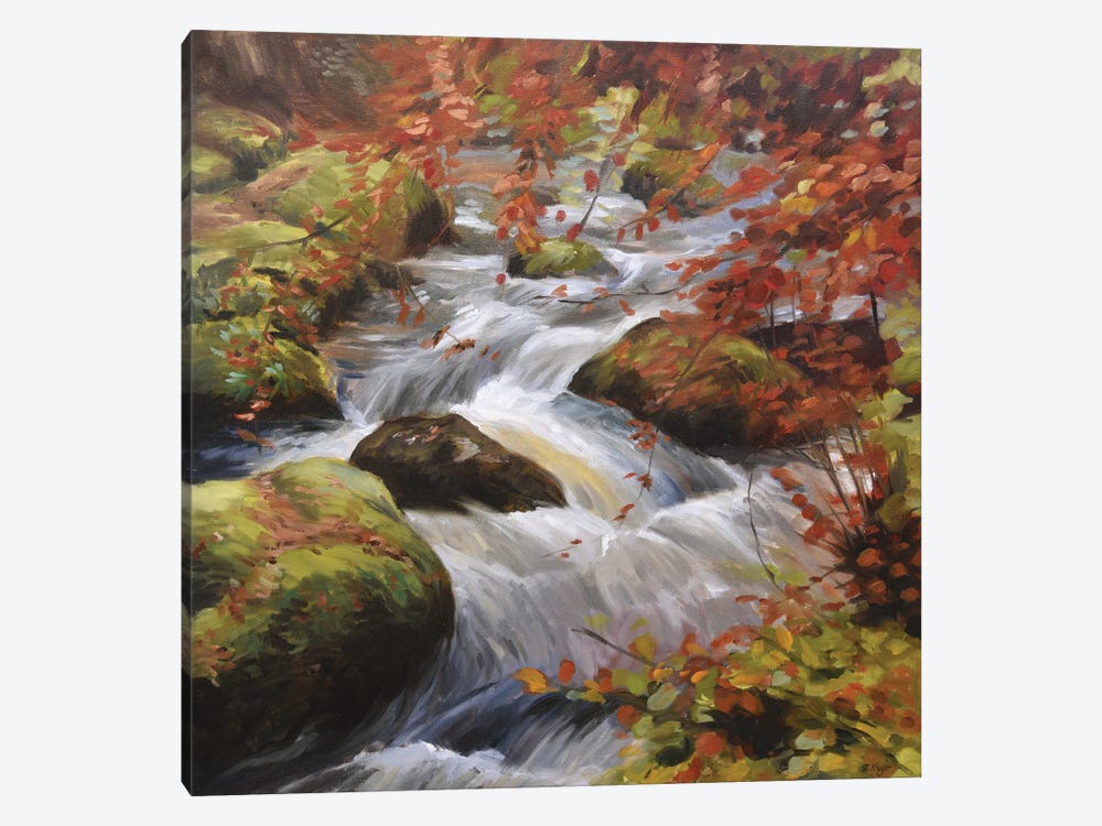 Becky Falls-Autumn Waterfall by Marjolein Kruijt 1-piece Canvas Art