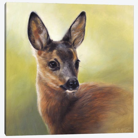 Listen - Young Deer Canvas Print #MKJ61} by Marjolein Kruijt Canvas Print