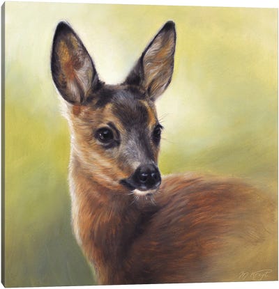 Listen - Young Deer Canvas Art Print - Marjolein Kruijt