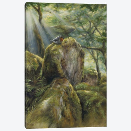 Enchanted Woods Canvas Print #MKJ63} by Marjolein Kruijt Canvas Art Print