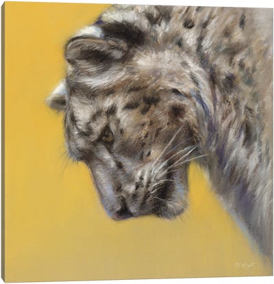 Snow Leopard Canvas Art Print - Marjolein Kruijt