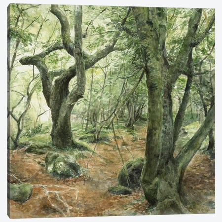 Hobbit Forest Canvas Print #MKJ69} by Marjolein Kruijt Canvas Art Print