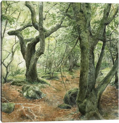 Hobbit Forest Canvas Art Print - Marjolein Kruijt