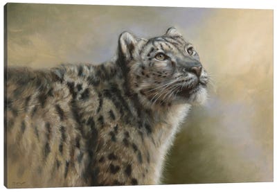 Snow Leopard II Canvas Art Print - Marjolein Kruijt