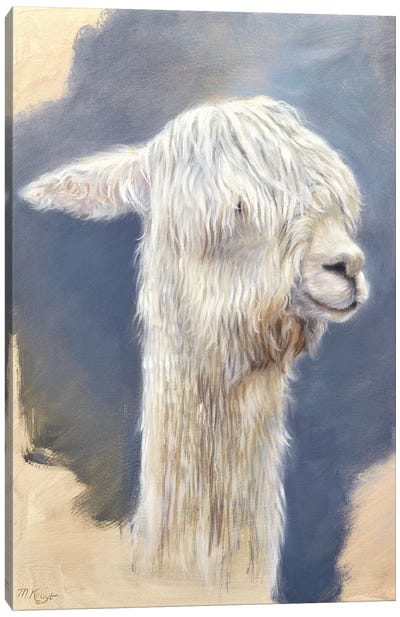 Suri Alpaka - New Haircut Canvas Art Print - Llama & Alpaca Art