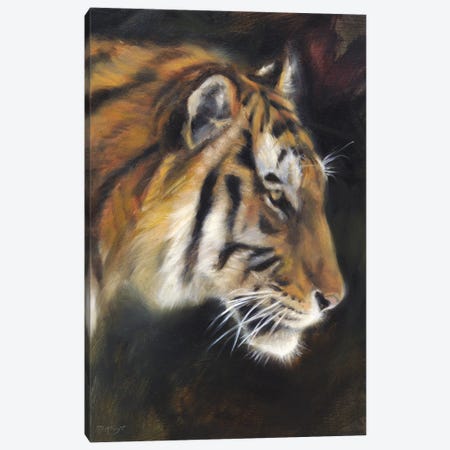 Tiger Canvas Print #MKJ76} by Marjolein Kruijt Canvas Print