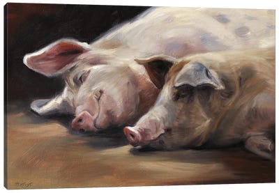 Pigs - Sleeping Beauties Canvas Art Print - Marjolein Kruijt