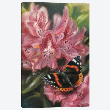 Butterfly Red Admiral Canvas Print #MKJ81} by Marjolein Kruijt Art Print