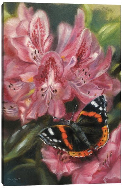 Butterfly Red Admiral Canvas Art Print - Marjolein Kruijt