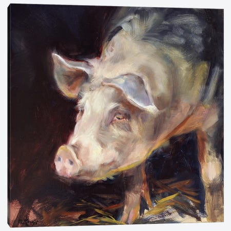 Pig - Good Morning Canvas Print #MKJ82} by Marjolein Kruijt Canvas Print