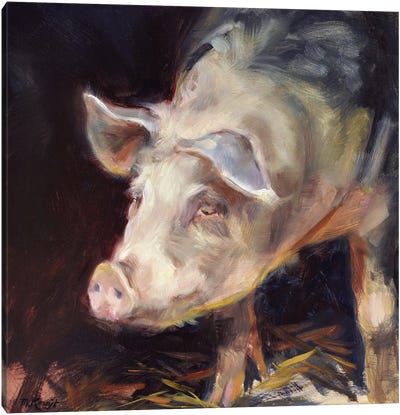 Pig - Good Morning Canvas Art Print - Marjolein Kruijt
