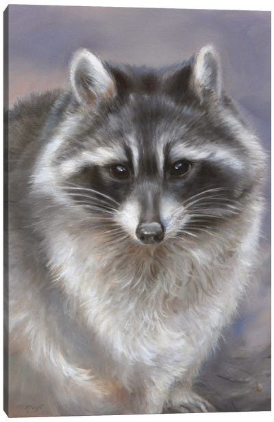 Raccoon Canvas Art Print - Marjolein Kruijt