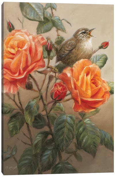 Wren On Roses Canvas Art Print - Wrens
