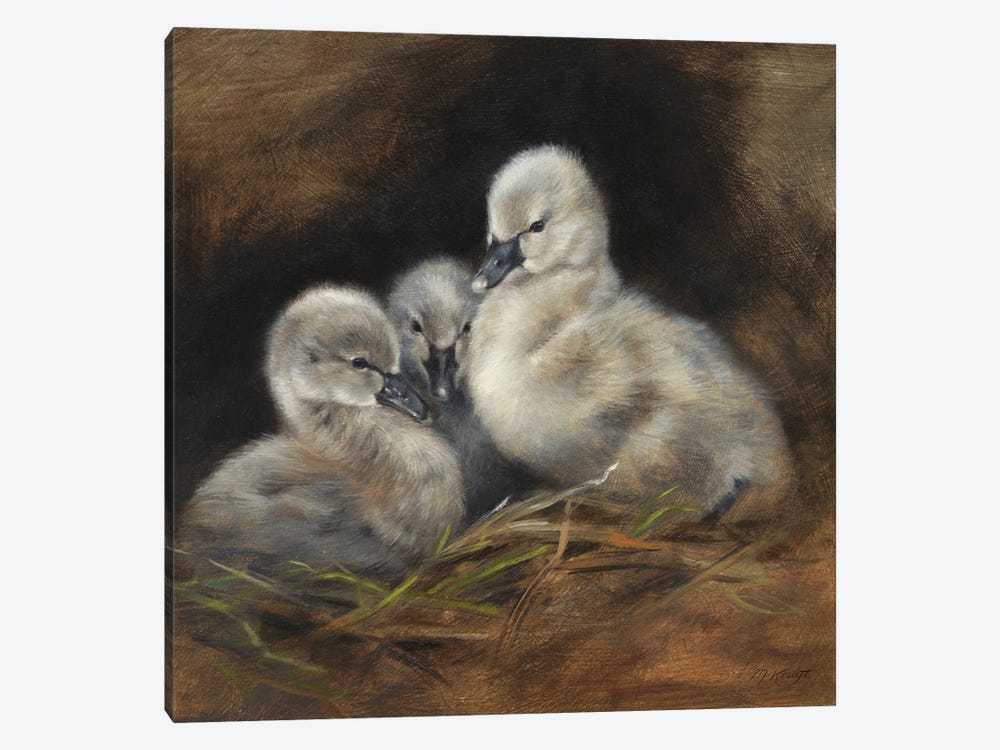 Together - Cygnet Baby Swans by Marjolein Kruijt 1-piece Canvas Art Print