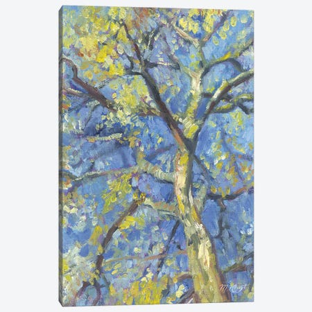 Spring - Birch Tree Canvas Print #MKJ9} by Marjolein Kruijt Art Print