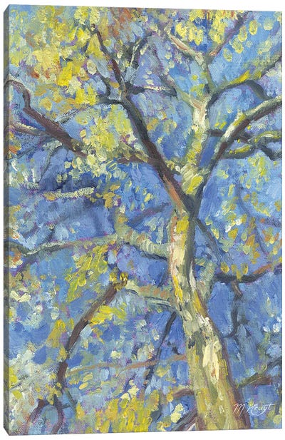 Spring - Birch Tree Canvas Art Print - Marjolein Kruijt