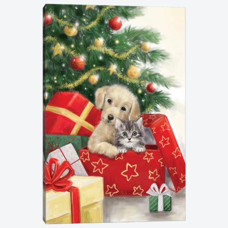 Christmas Dog and Cat in Box Canvas Print #MKK52} by MAKIKO Art Print