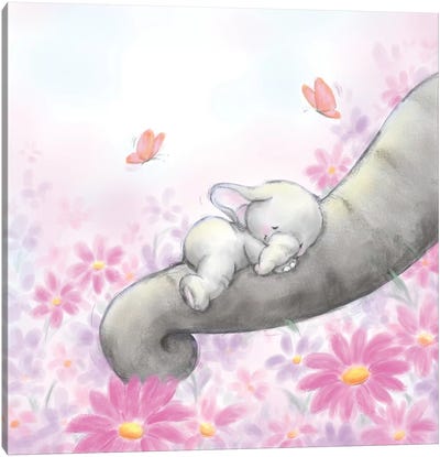 Baby Elepant Sleeping Canvas Art Print - Elephant Art