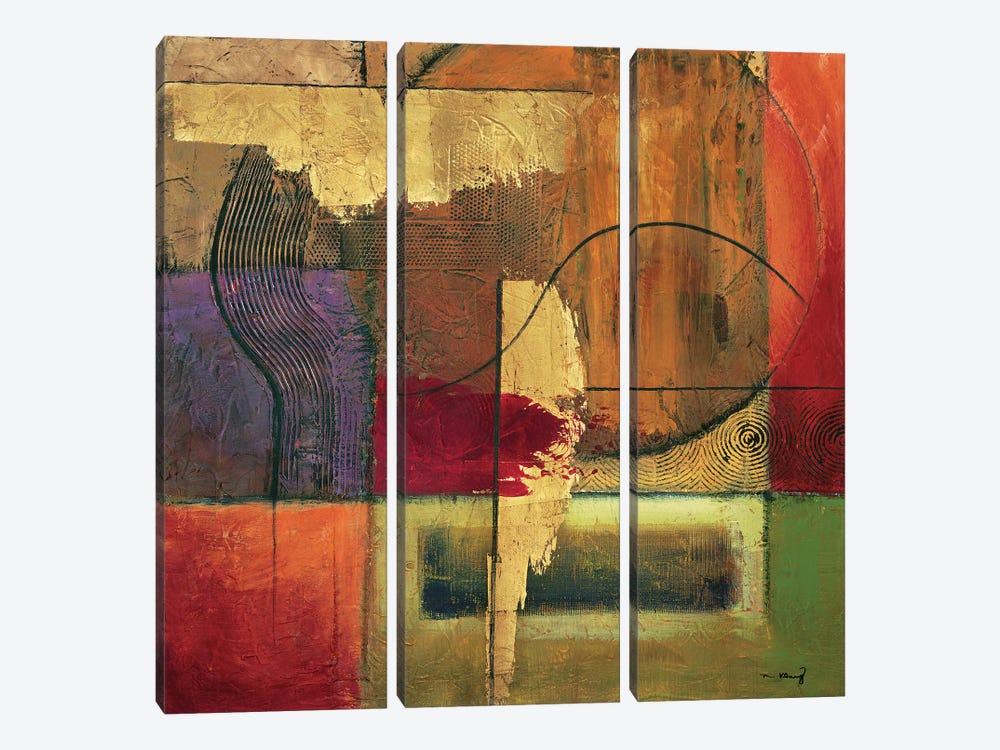 Opulent Relief II by Mike Klung 3-piece Canvas Art Print