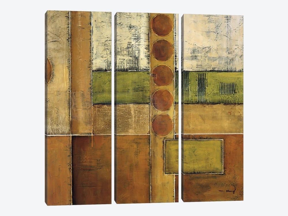 Diversity I by Mike Klung 3-piece Canvas Art