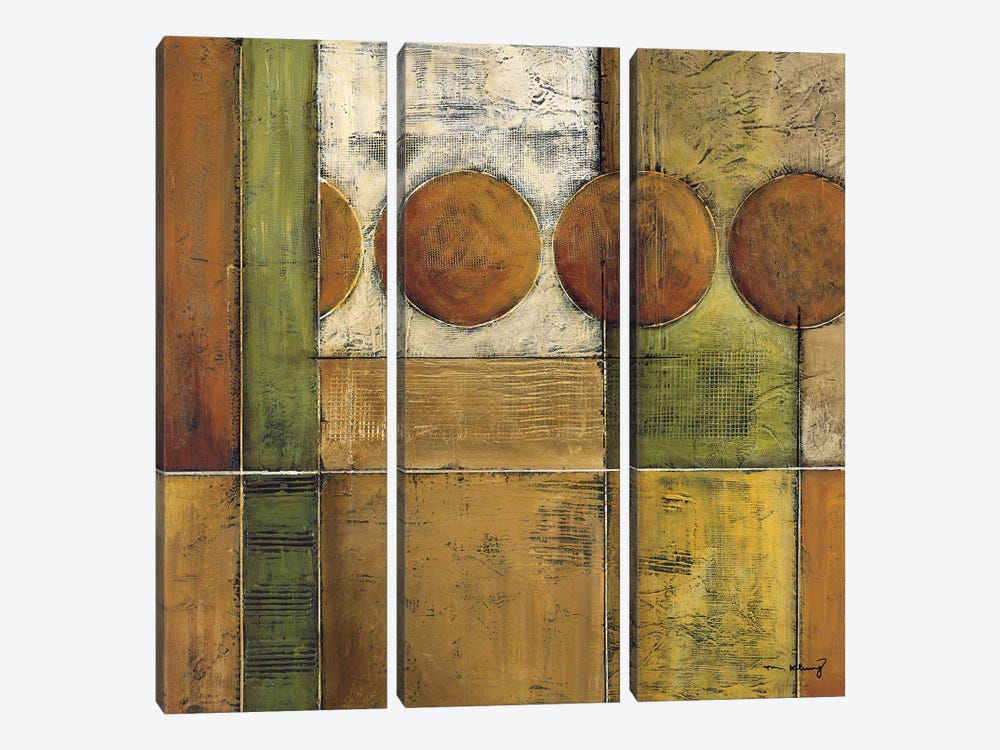 Diversity II by Mike Klung 3-piece Canvas Art Print