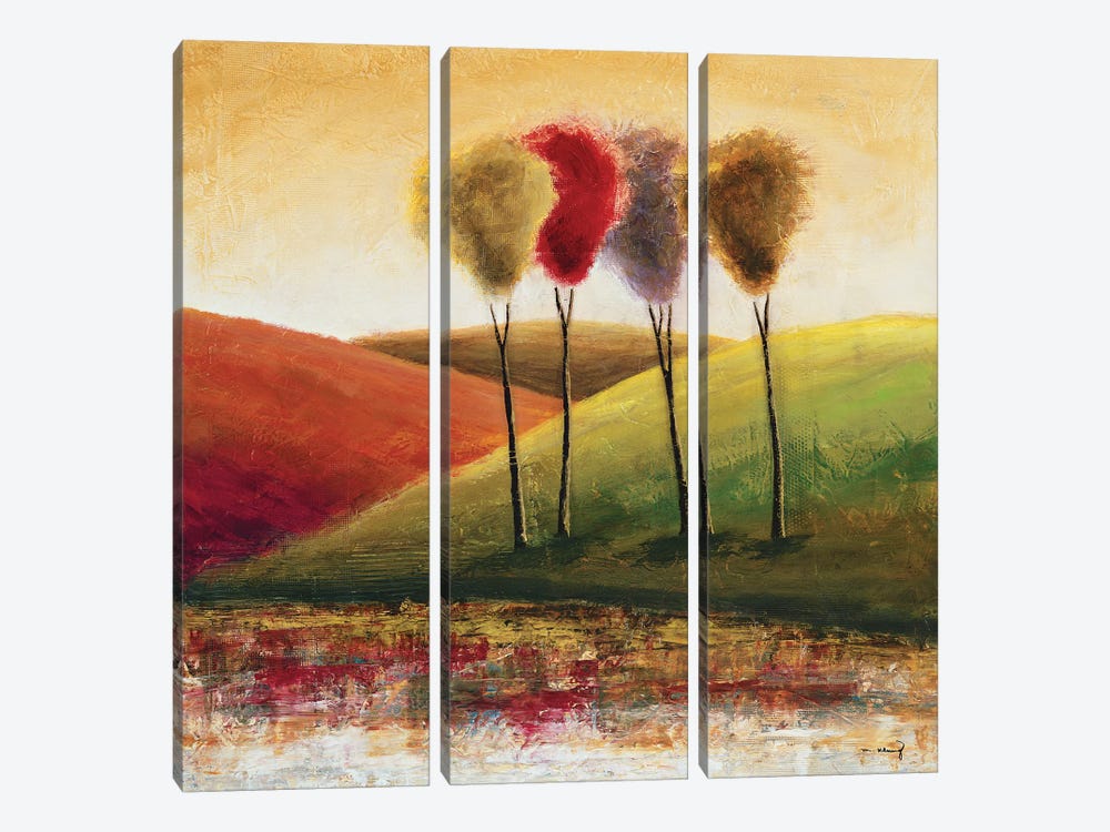 Endless Hills I by Mike Klung 3-piece Canvas Artwork