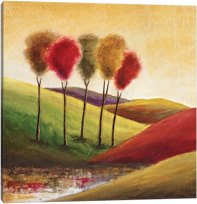 Endless Hills II Canvas Art Print - Mike Klung