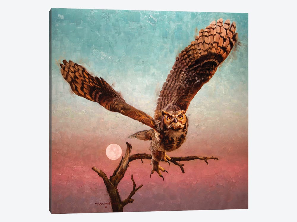 Into The Night by Mark McKenna 1-piece Canvas Wall Art