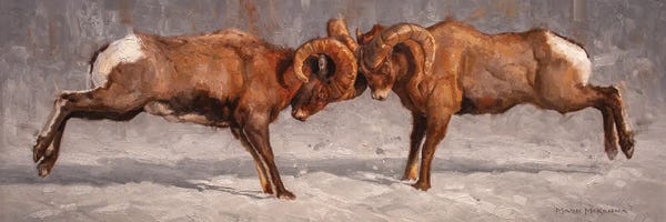 Sheep: Make Or Break by Mark McKenna