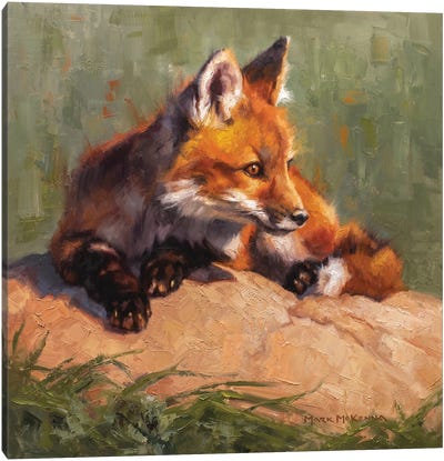 Midday Lounge Canvas Art Print - Fox Art