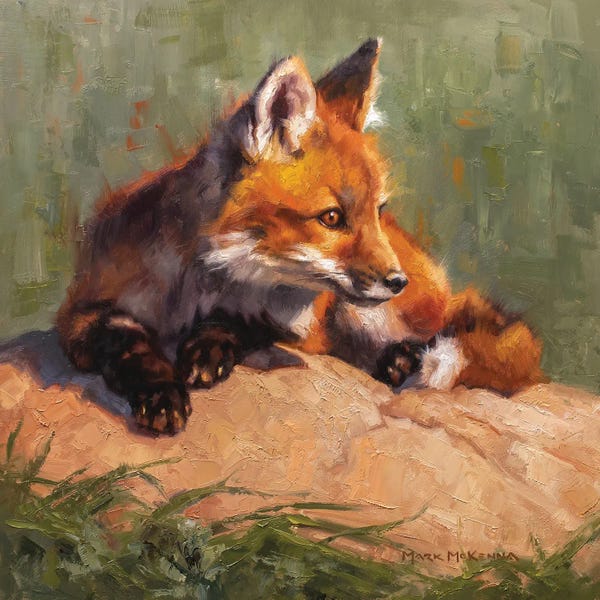 Golden Hour Animals: Midday Lounge by Mark McKenna