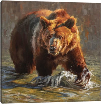 Moseyin' Through Canvas Art Print - Brown Bear Art