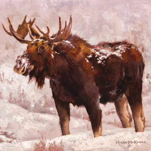 Moose: Resilient by Mark McKenna
