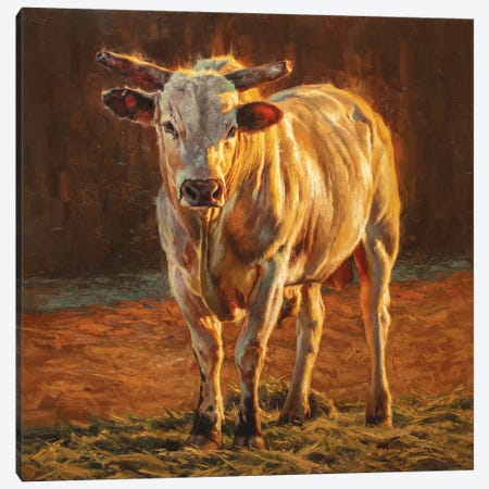 Rodeo Gold Canvas Print #MKM18} by Mark McKenna Canvas Print