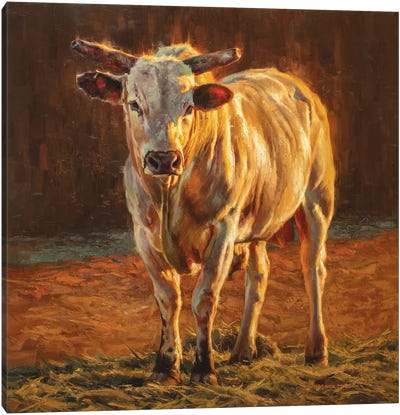 Rodeo Gold Canvas Art Print - Bull Art