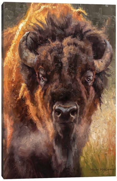 Stonewall Canvas Art Print - Bison & Buffalo Art