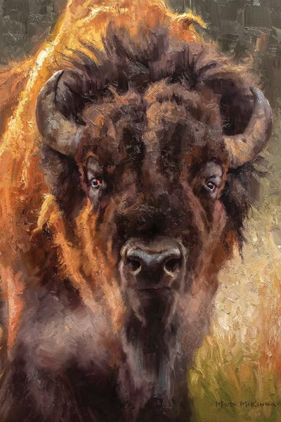 Golden Hour Animals: Stonewall by Mark McKenna