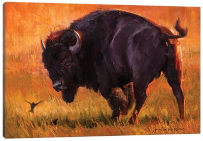 A Fleeting Diversion Canvas Art Print - Bison & Buffalo Art
