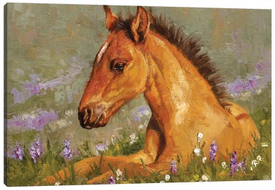 Summer Siesta Canvas Art Print - Golden Hour Animals