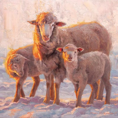 Sundown by Mark McKenna canvas print