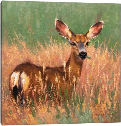 Sweetgrass Canvas Art Print - Golden Hour Animals