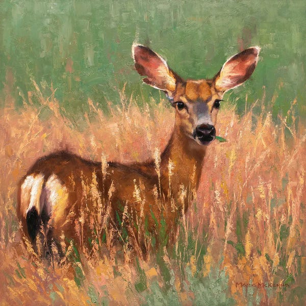 Golden Hour Animals: Sweetgrass by Mark McKenna