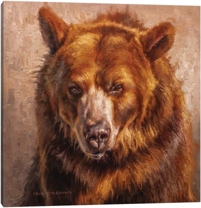 The Outlaw Canvas Art Print - Brown Bear Art